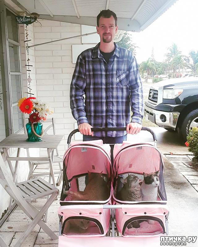 ���� 14: ���� � ����