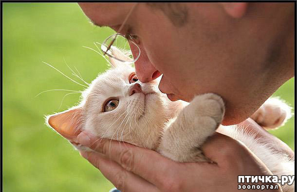 ���� 18: ���� � ����