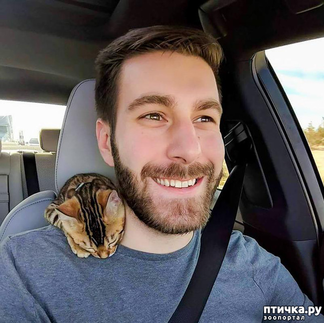 ���� 19: ���� � ����