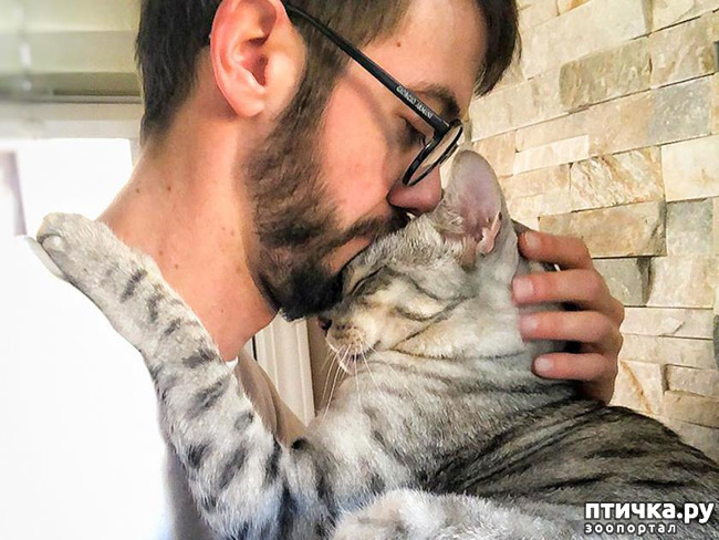 ���� 20: ���� � ����