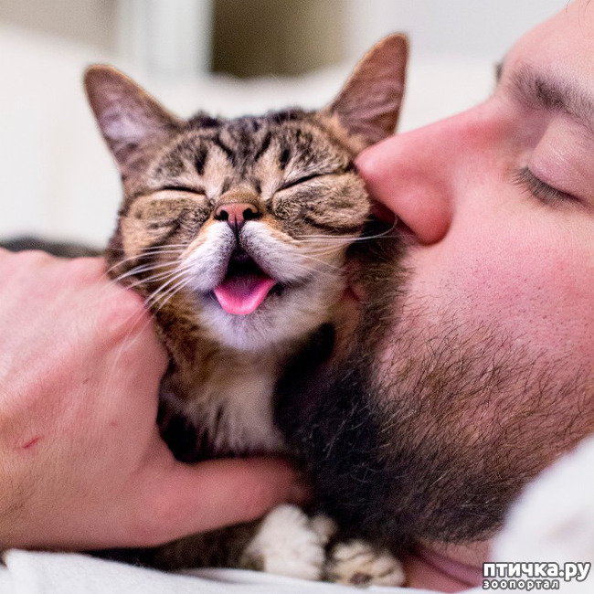 ���� 15: ���� � ����