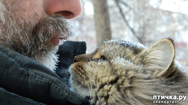 ���� 17: ���� � ����