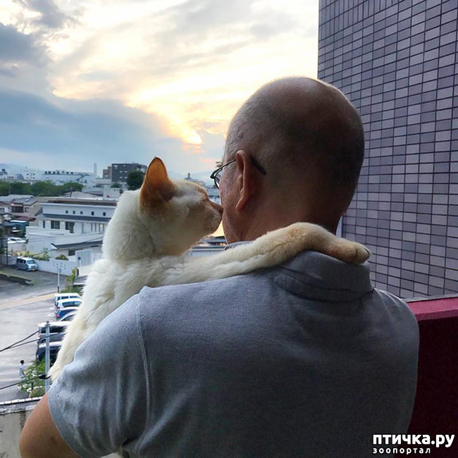 ���� 21: ���� � ����