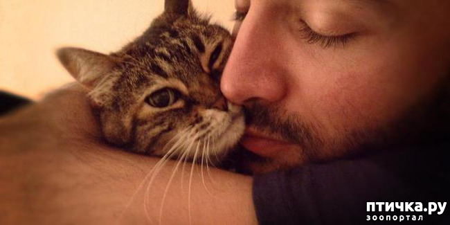 ���� 23: ���� � ����