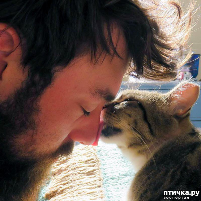 ���� 24: ���� � ����