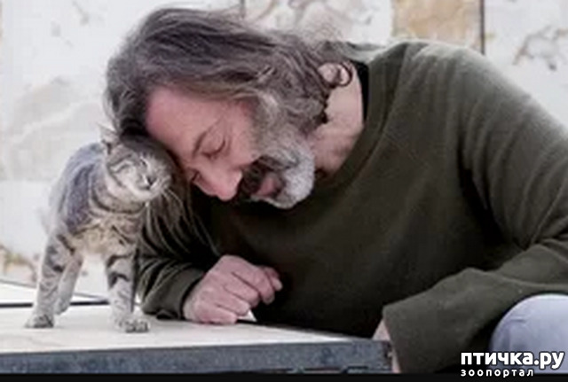 ���� 10: ���� � ����