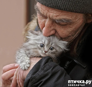 ����: ���� � ����