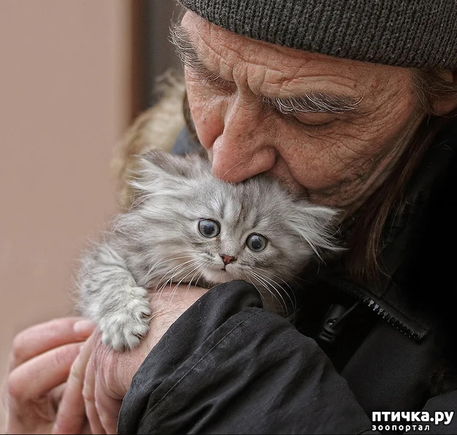 ���� 1: ���� � ����