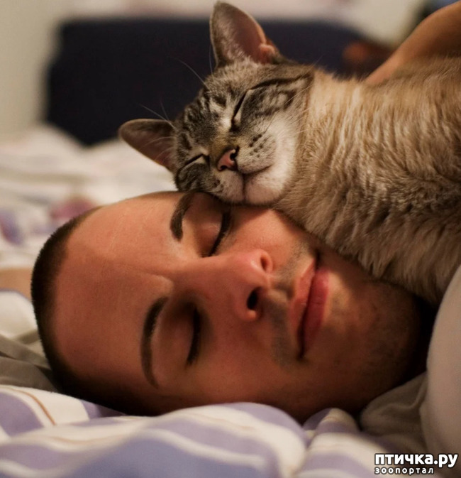 ���� 22: ���� � ����