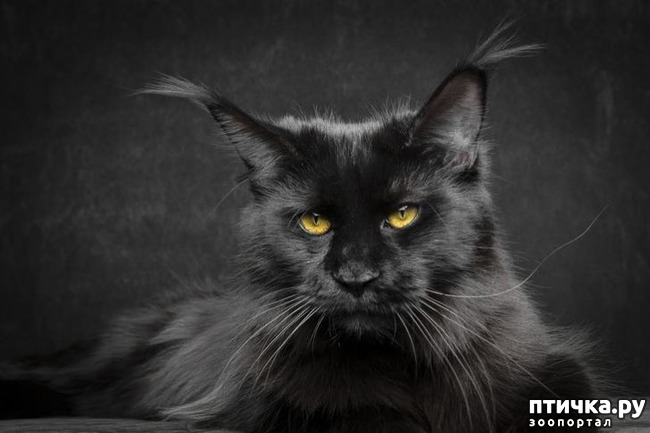 ���� 11: ������� ������� � �������� ��������