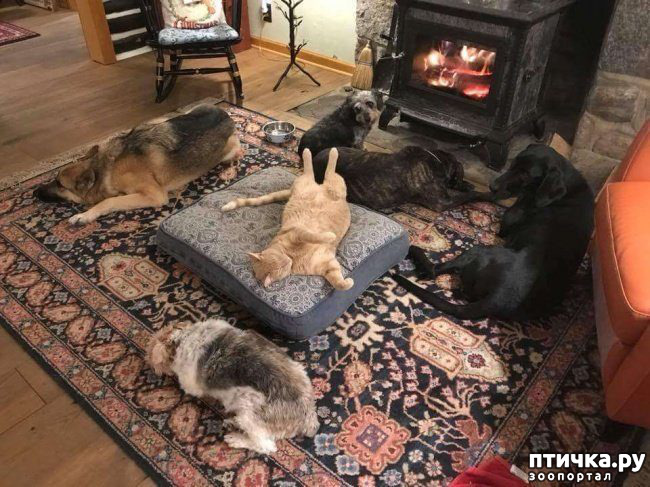 ���� 12: ������� ������� � �������� ��������