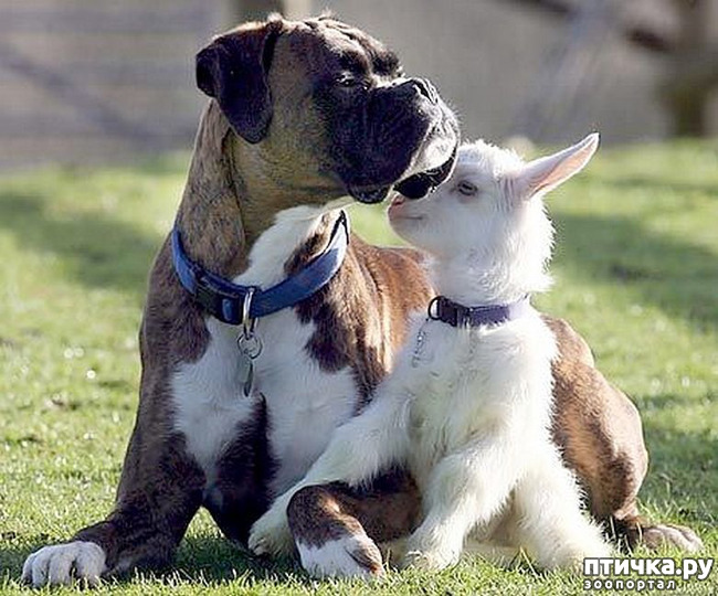 ���� 13: ������� ������� � �������� ��������