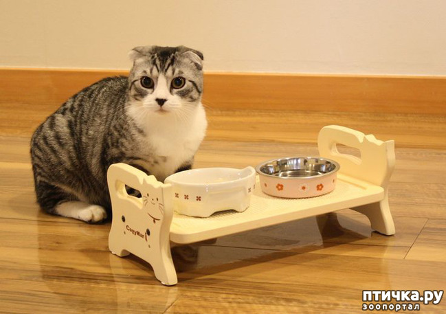 ���� 2: ������� ������� � �������� ��������