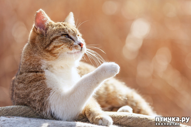 ���� 3: ������� ������� � �������� ��������