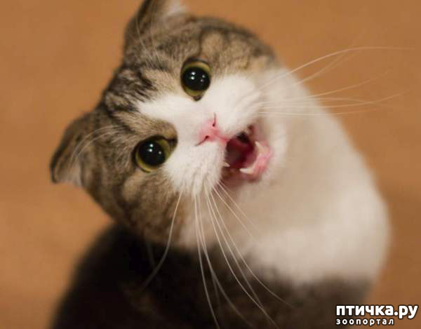 ���� 5: ������� ������� � �������� ��������