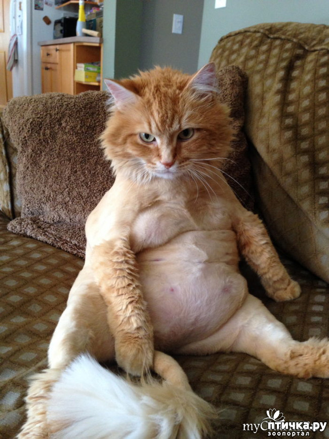 ���� 1: ��� ���� � �����)))