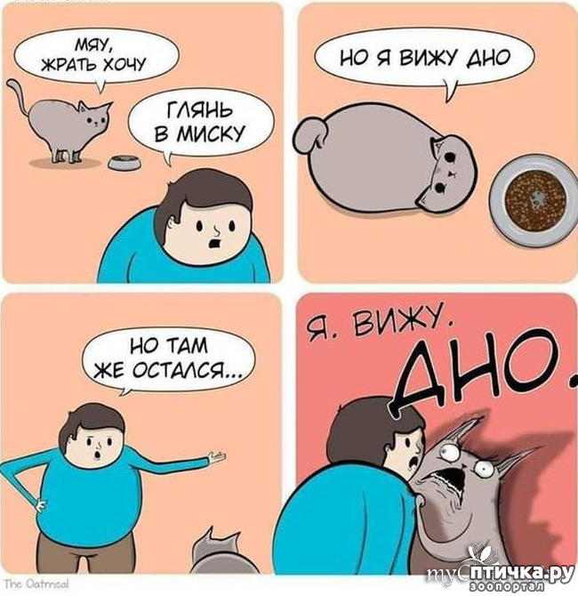 ���� 2: ��� ���� � �����)))