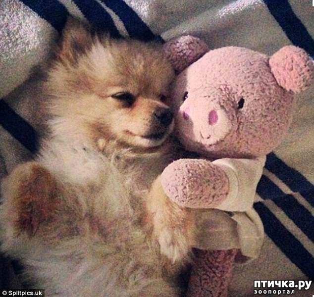 ���� 6: ������� ������� � �������� ��������