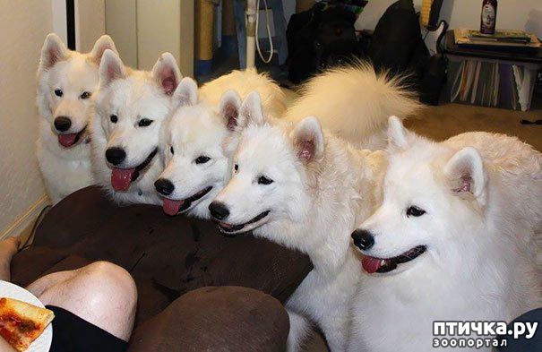 ���� 7: ������� ������� � �������� ��������