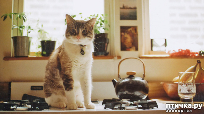 ���� 9: ������� ������� � �������� ��������