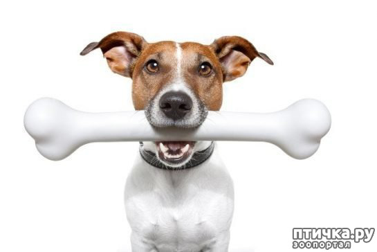 ���� 10: ������� ������� � �������� ��������