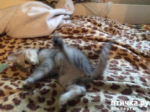 ����: ����� ��� ������.