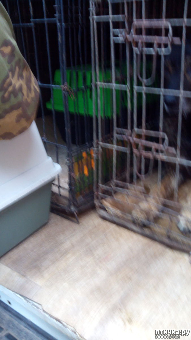 ���� 5: ������ �� ������������