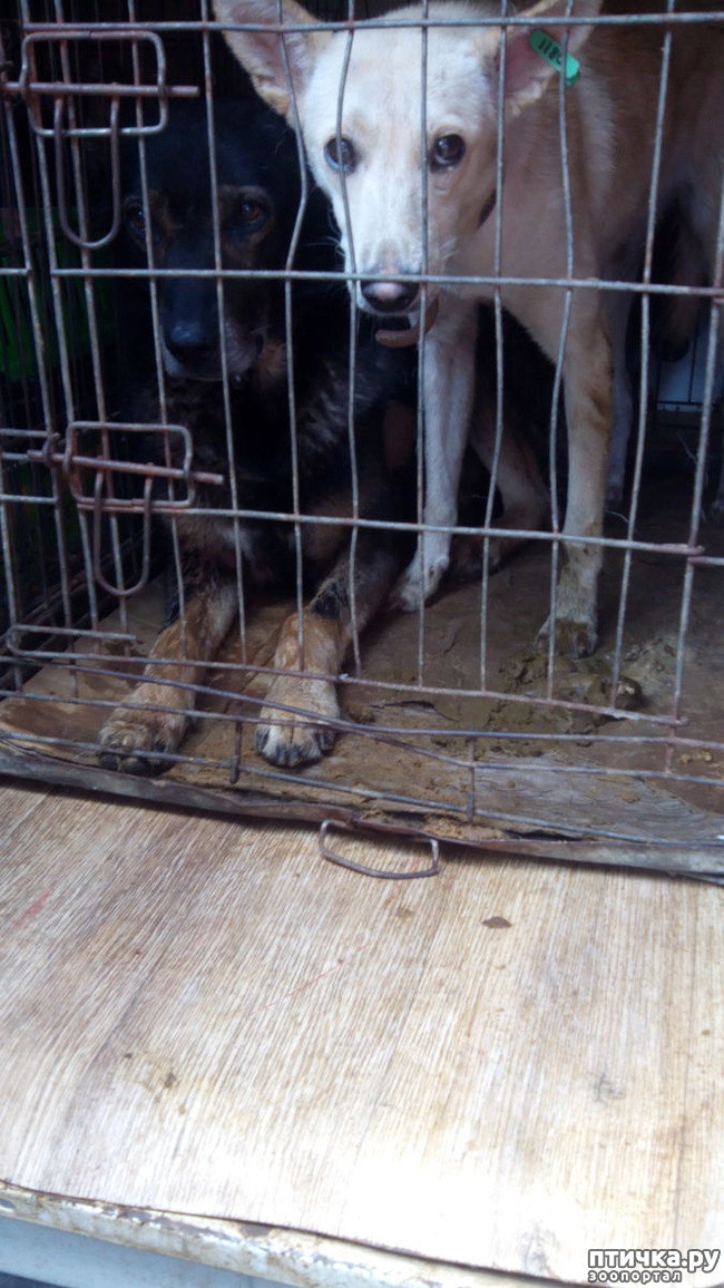 ���� 6: ������ �� ������������