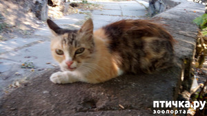 ����: ������ �� ������������