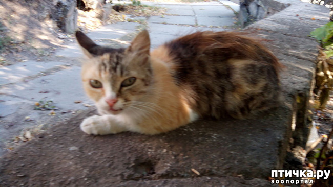 ���� 1: ������ �� ������������