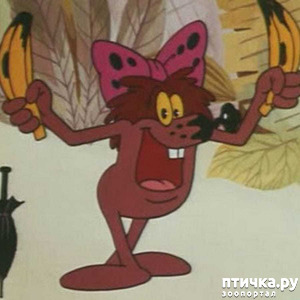 ����: ����� ����. �������� �������.