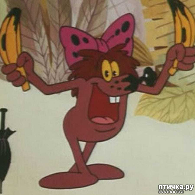 ���� 1: ����� ����. �������� �������.