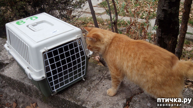 ���� 2: ������ �� ������������