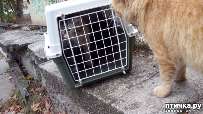 ���� 3: ������ �� ������������