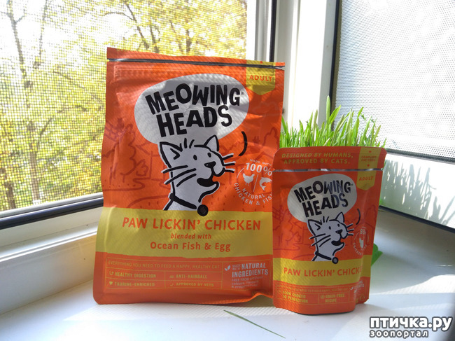 ���� 2: ����� ����. �������� �������.