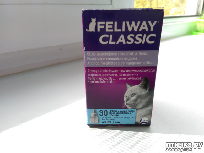 ���� 3: ����� ����. �������� �������.