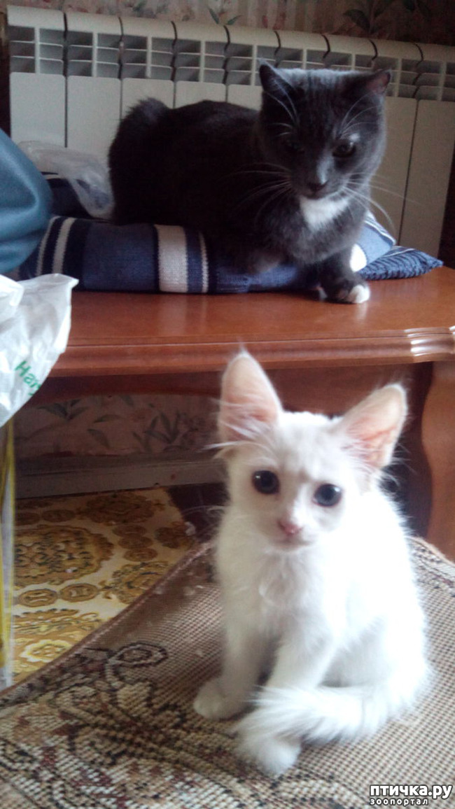 ���� 2: ����� �������� ����