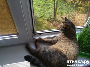 ����: ��� ������.