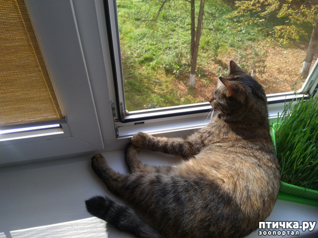 ���� 1: ��� ������.