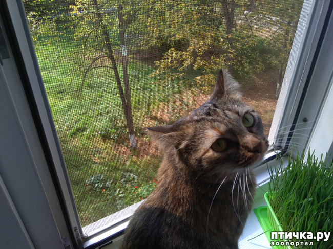 ���� 2: ��� ������.