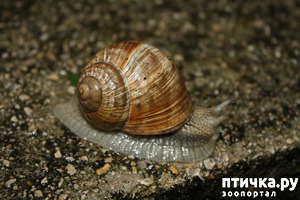 ����: ������ ����� �����