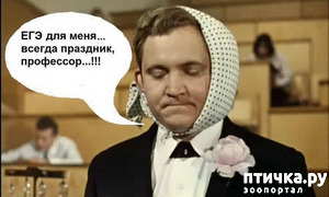 ����: ������� �����