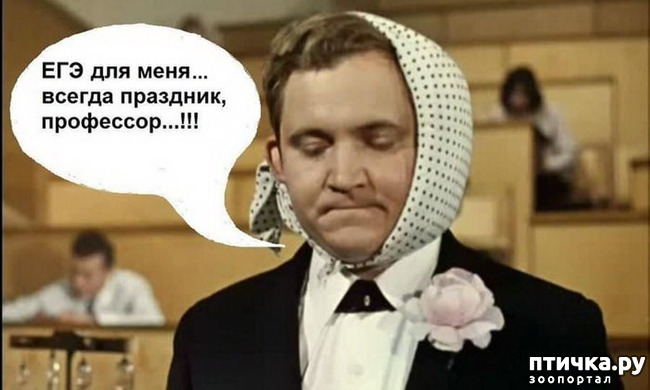 ���� 1: ������� �����