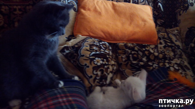 ���� 2: ������ � �����, ���� ���������