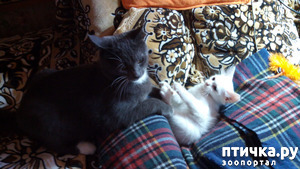 ����: ������ � �����, ���� ���������