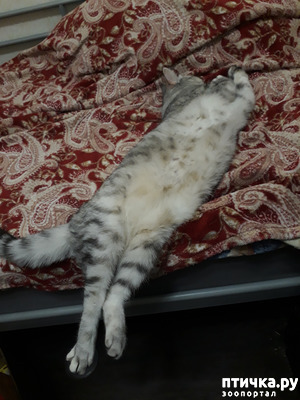 ����: ����� ������