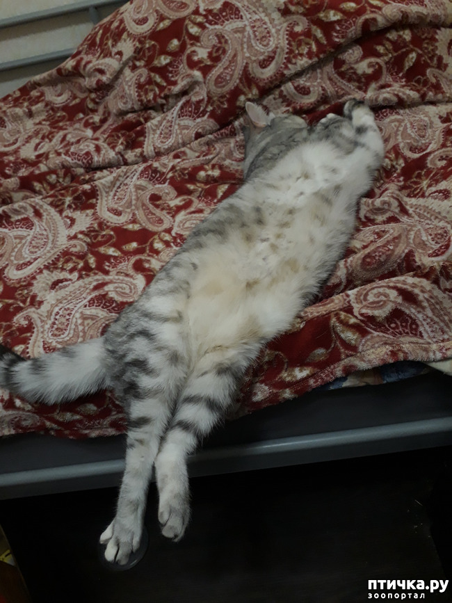 ���� 1: ����� ������