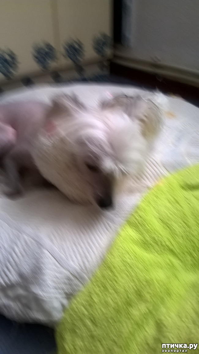 ���� 2: ��������.