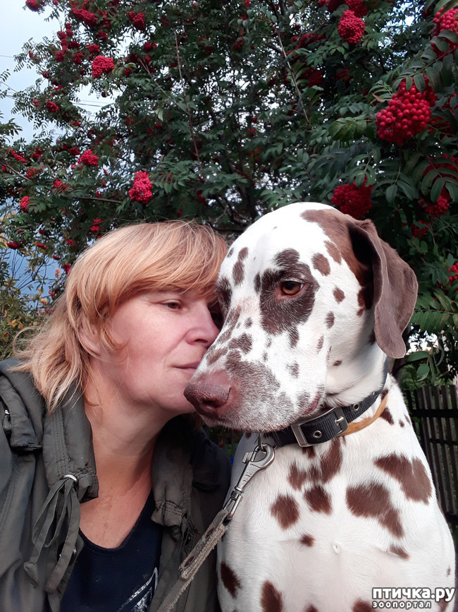 ���� 6: ��� �������