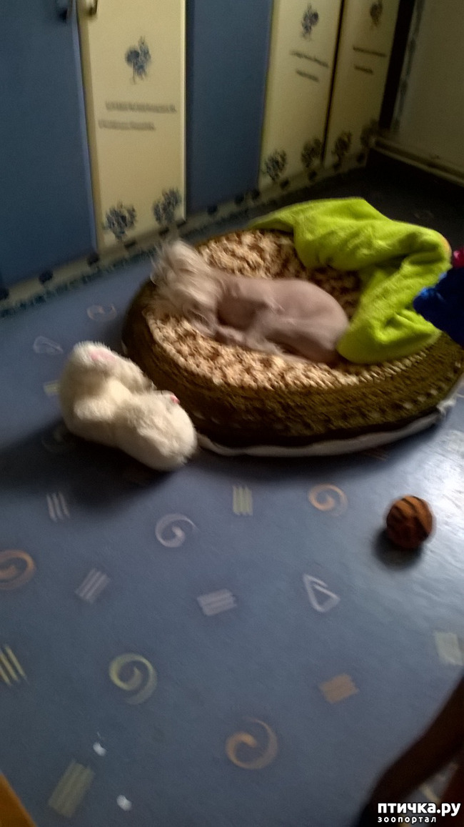 ���� 1: ��������.